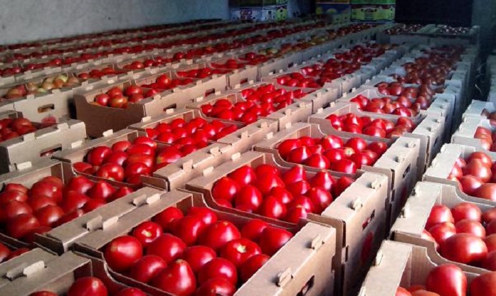    Rusiya 47 ton Azərbaycan pomidorunu geri qaytardı  